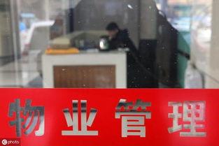 新城物业爆料事件视频大全